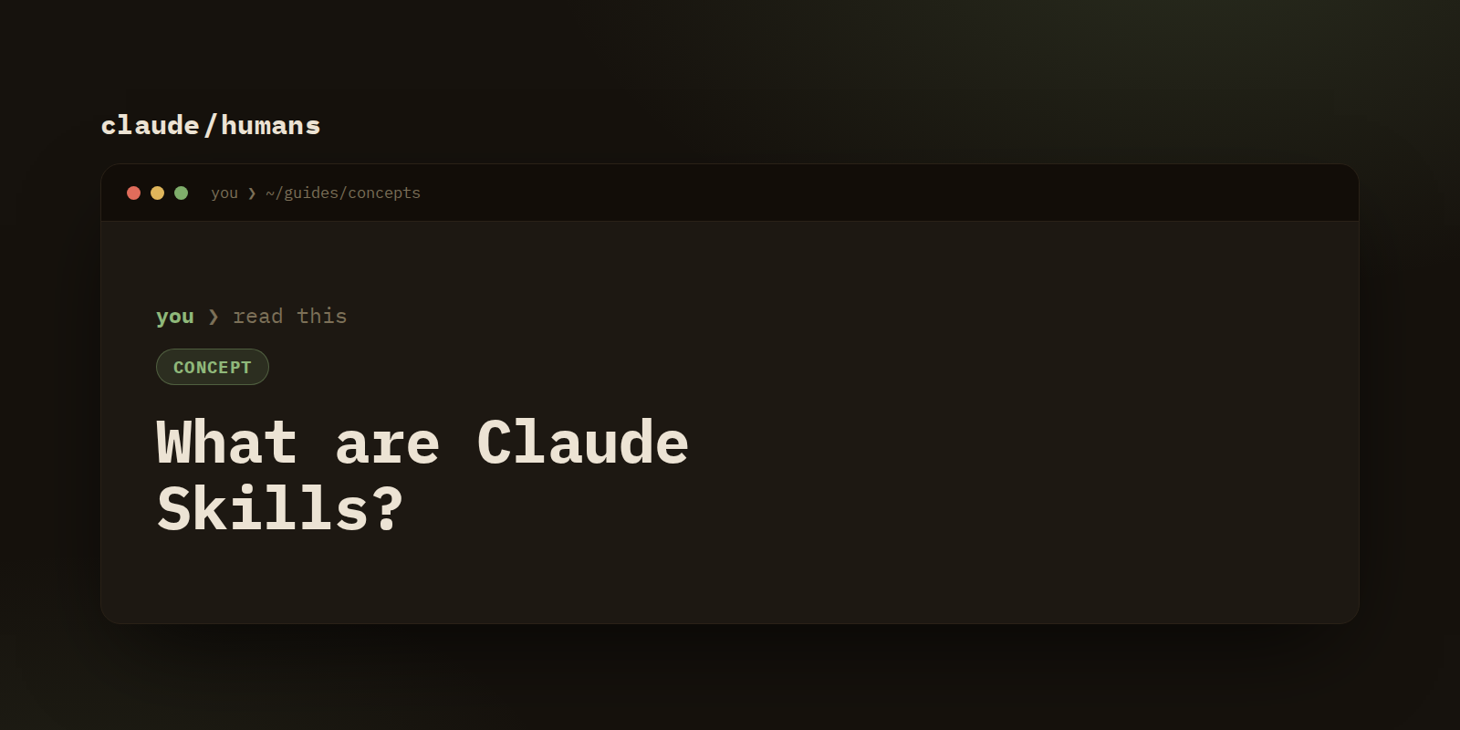 What are Claude Skills? (in plain English)